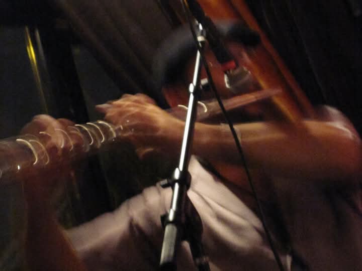 Bass in Motion